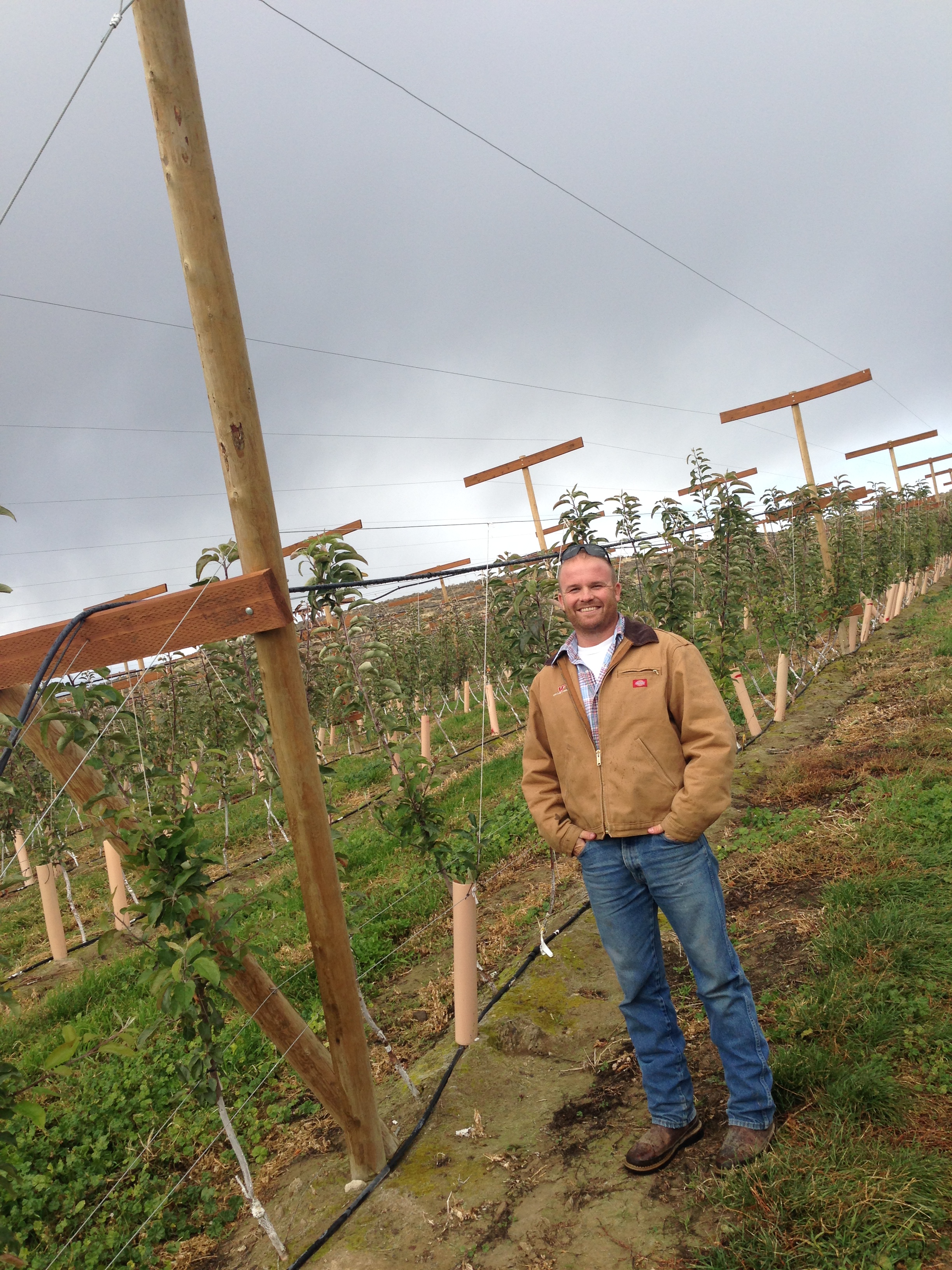 Andy is one of the field managers, he works hard to perfect the trellis systems, the color profiles of the apples, testing the pressures & brix (sugar levels), and so much more. Many would argue that the people like Andy are the heart & soul of the entire operation.