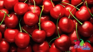 sage-fruit-cherries-300x168