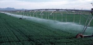 field water irrigation