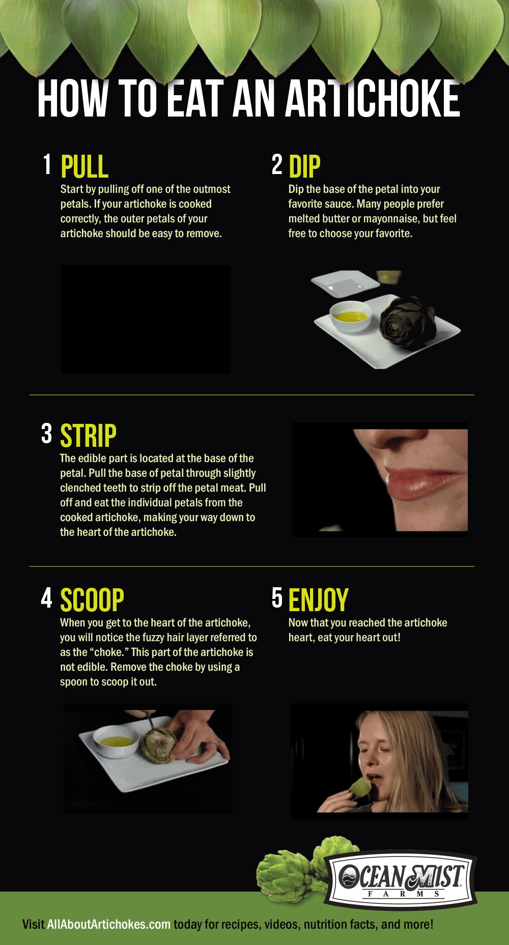 How to eat an artichoke 