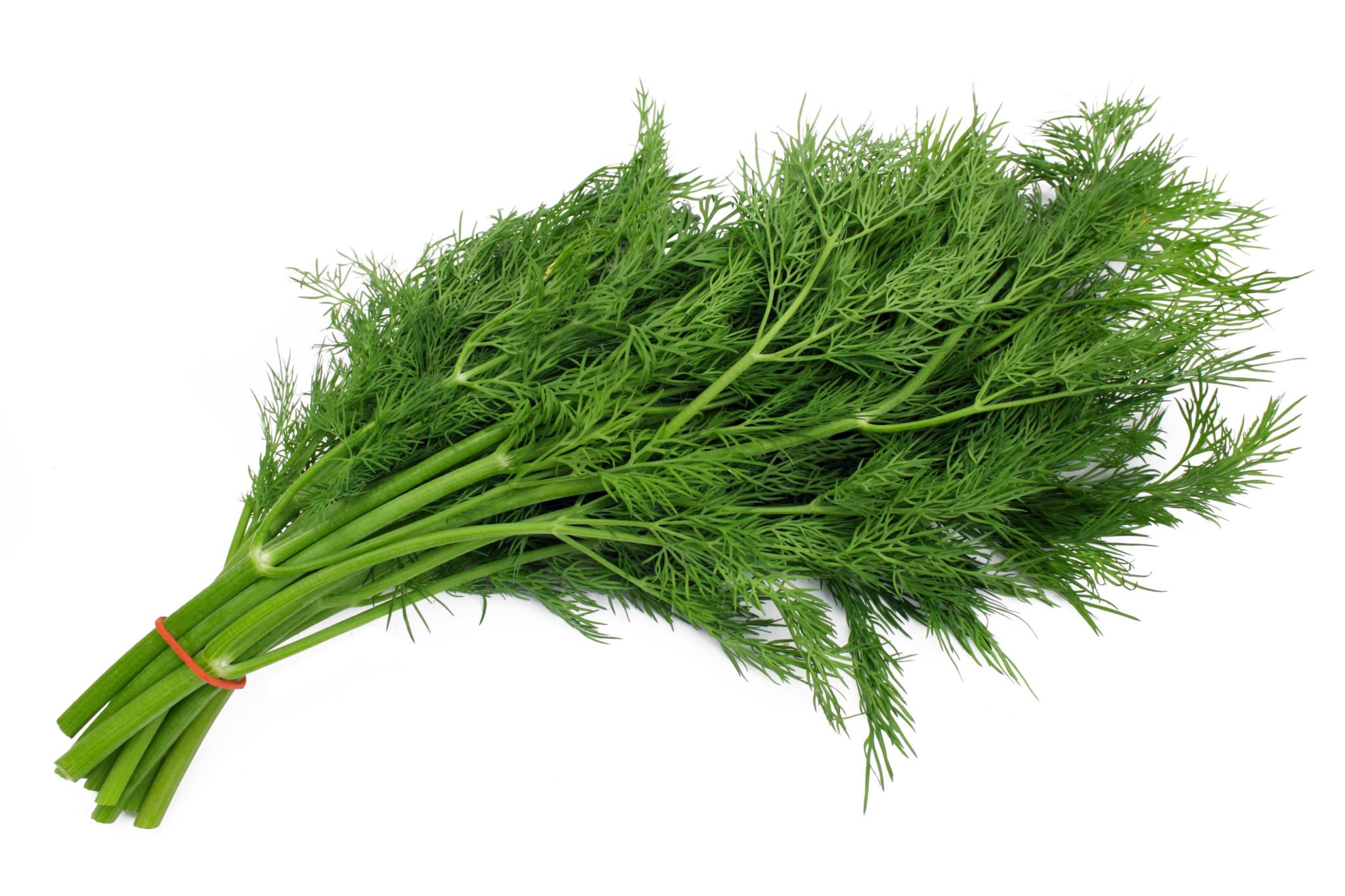 Cooking with Fresh Herbs: Tips for using dill 