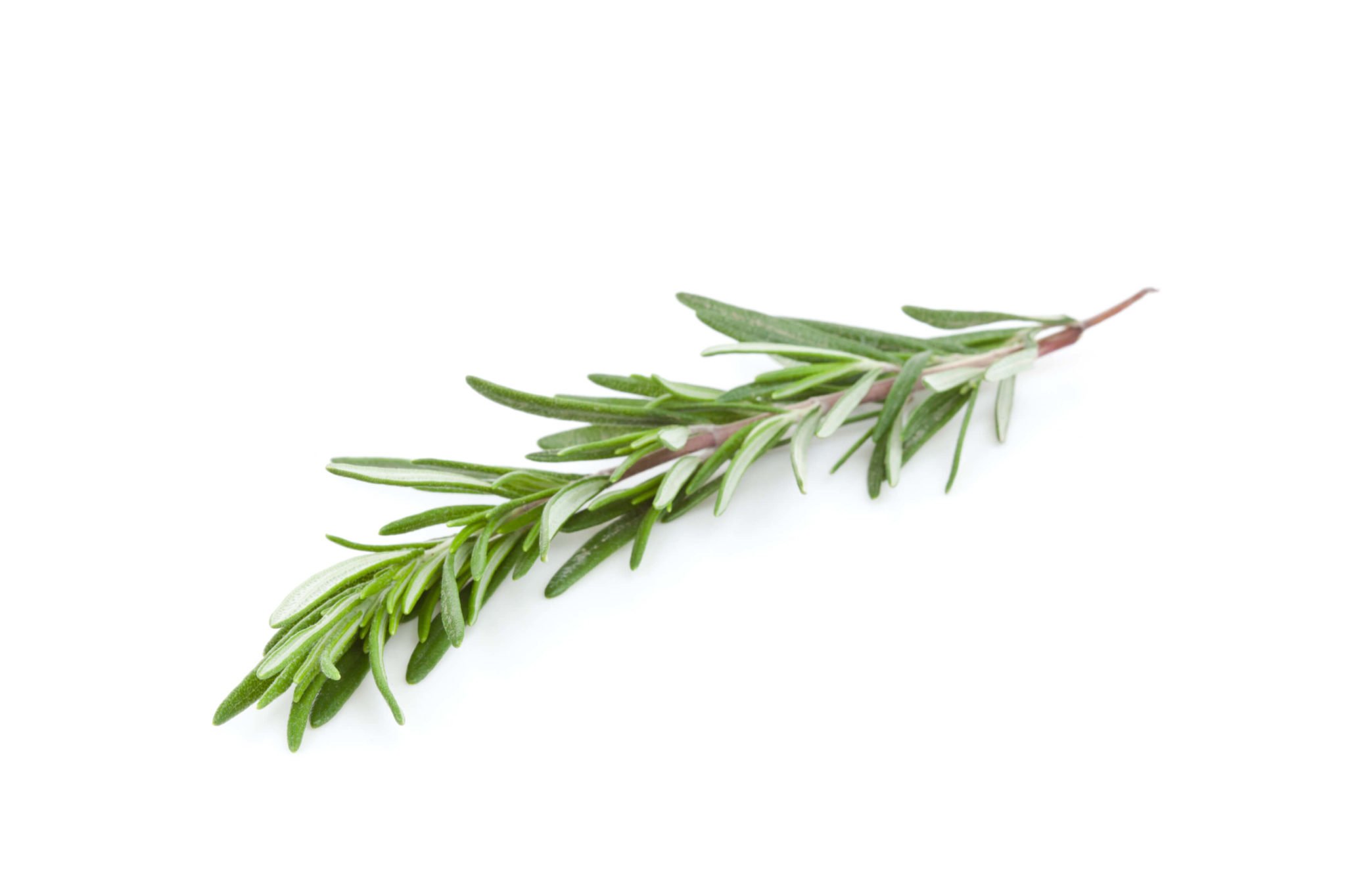 Cooking with Fresh Herbs: Tips for using rosemary
