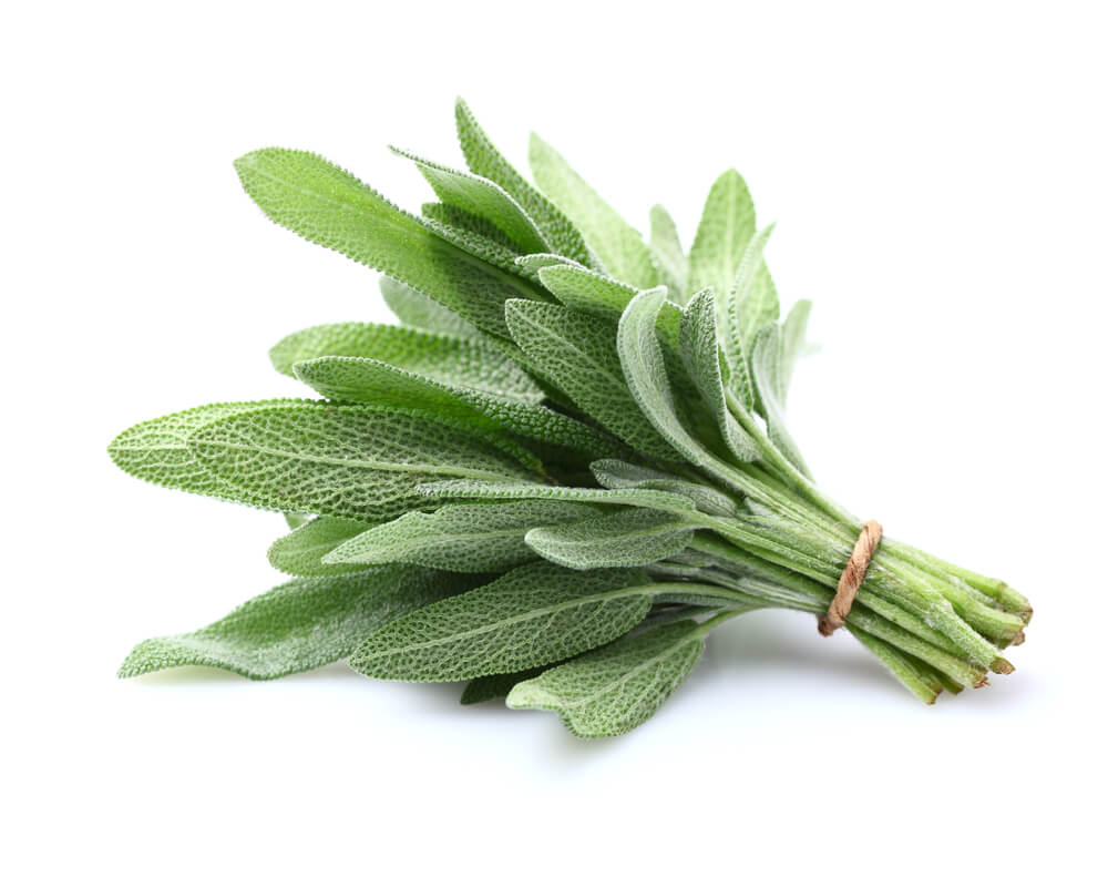 Cooking with Fresh Herbs: Tips for using sage