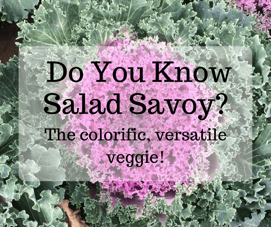 What is salad savoy? A colorific, versatile veggie!