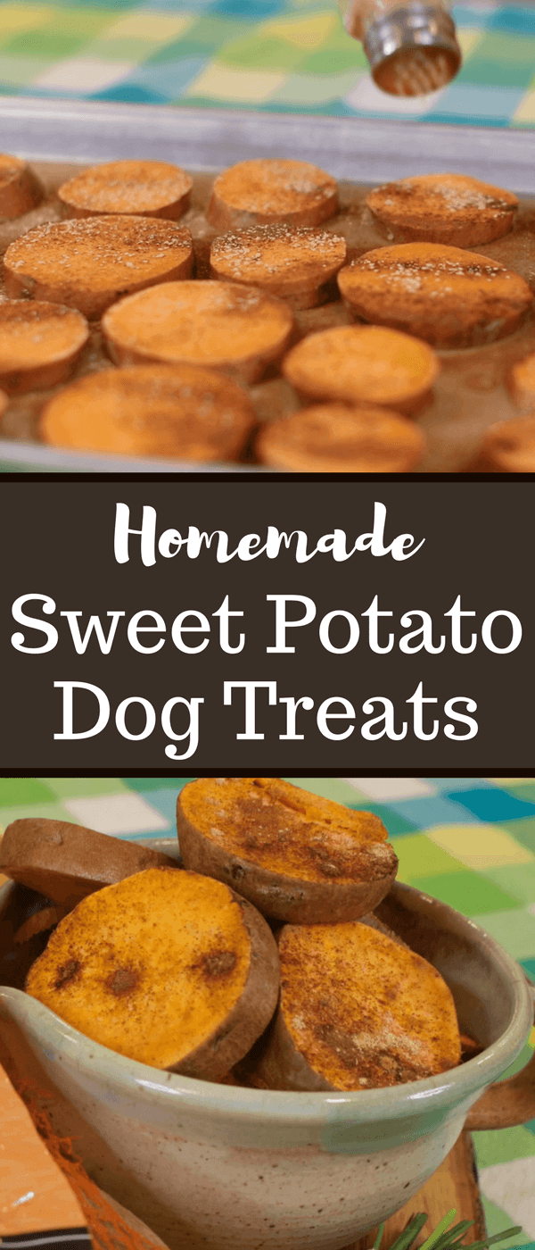 Homemade Sweet Potato Dog Treats