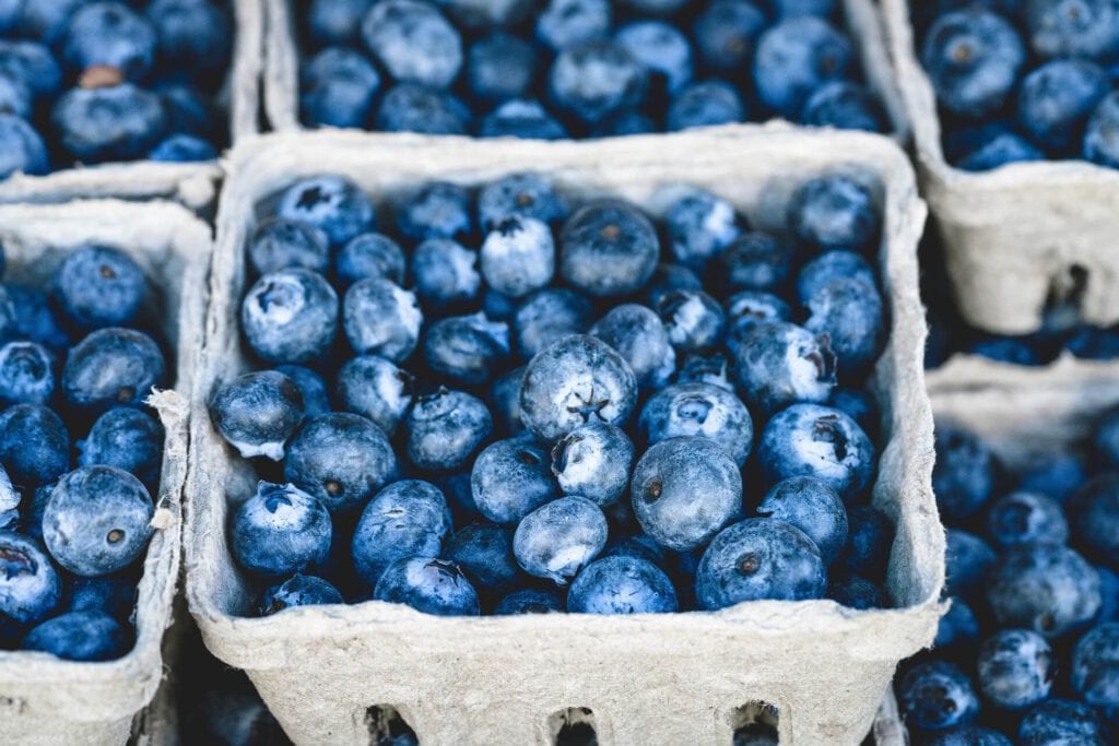 Seasonal Blueberries