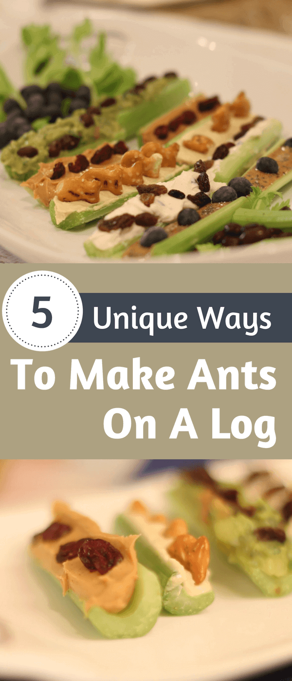 5 Different Ways To Make Ants On A Log
