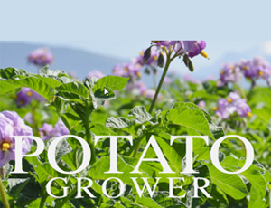 potato-grower
