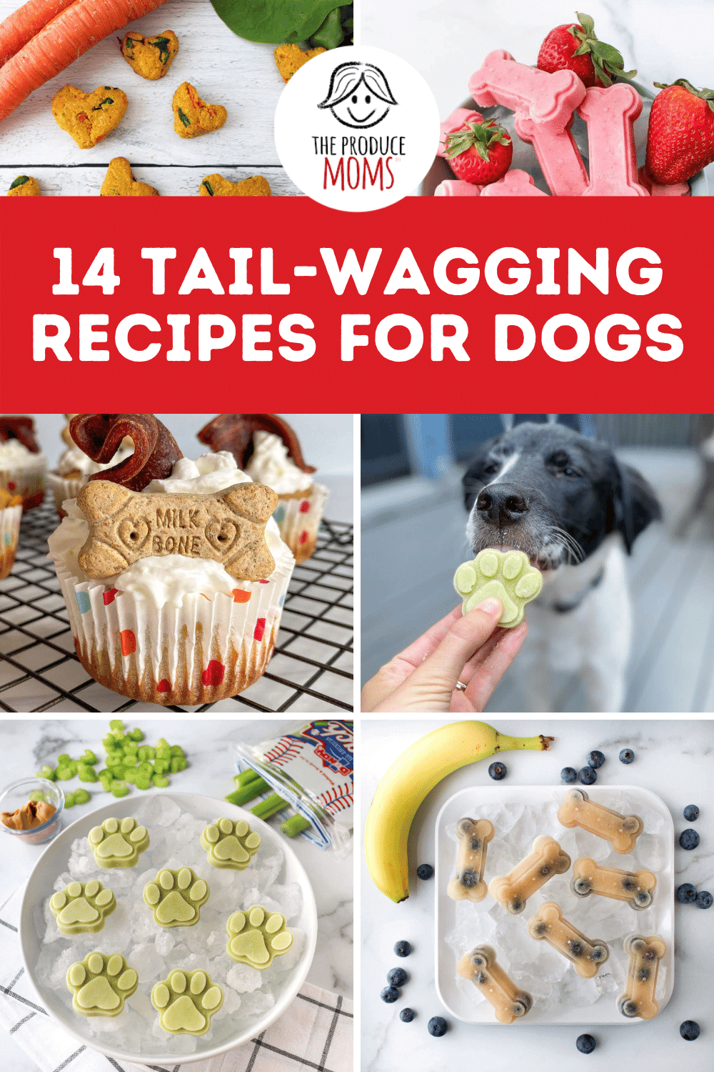 Recipes for Dogs